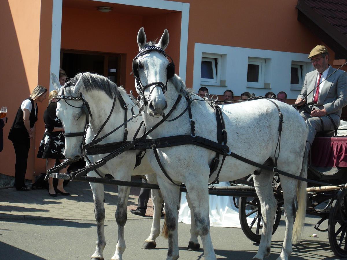 Hotel U Jezera Velky Osek Экстерьер фото